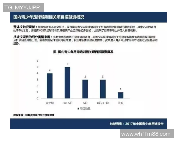 成都足球队技术分析与战术探讨聚焦足球发展新趋势