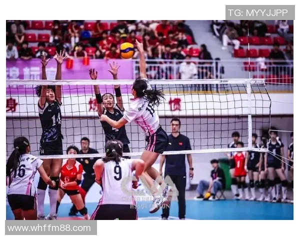 上海排球队在排球团队协作排行榜中荣获第五名展现出强大实力与团队精神